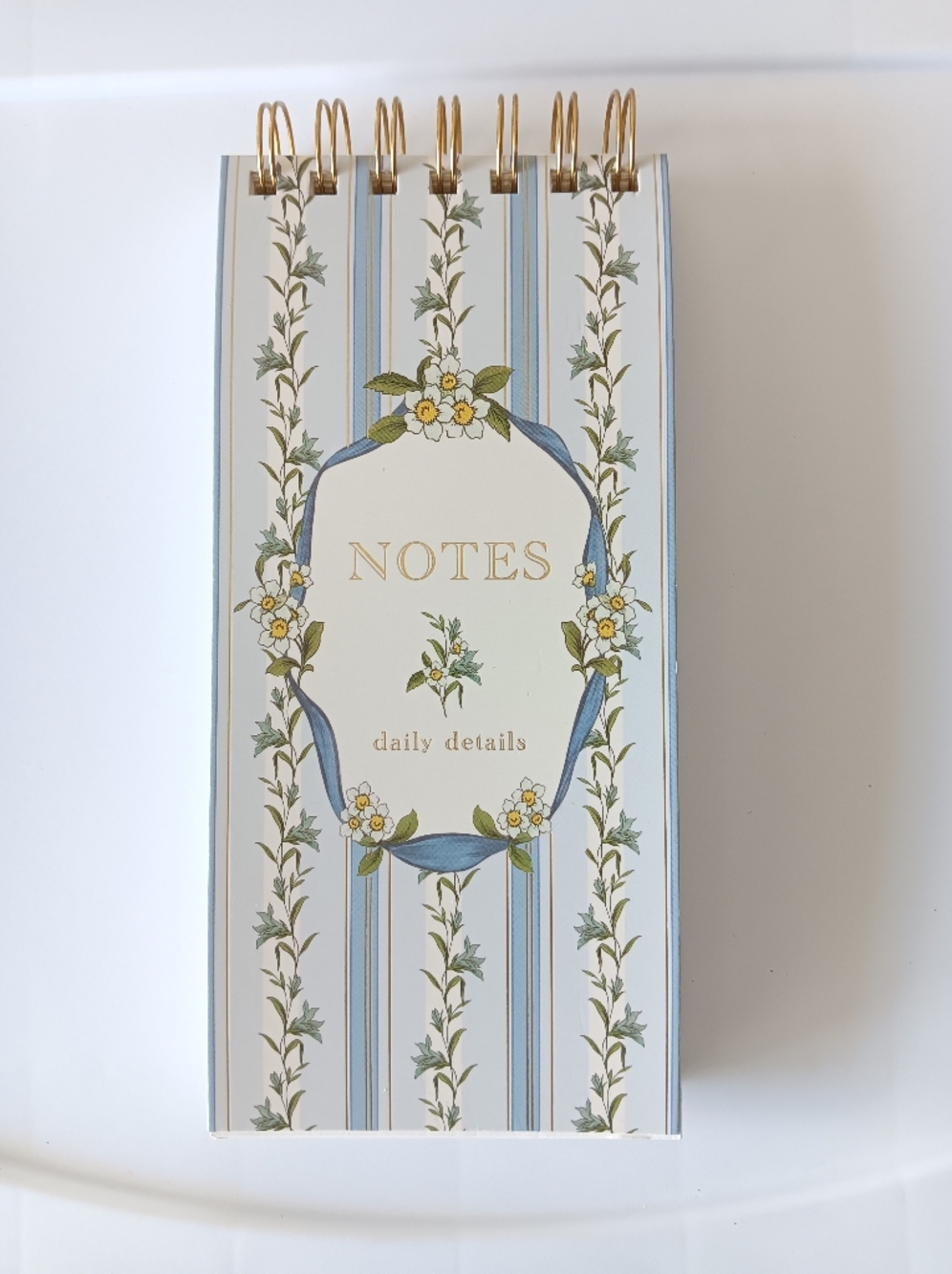 Punch Studios Spiral Bound Top Flip Notebook Lined 125 Sheets Floral Ribbon Blue